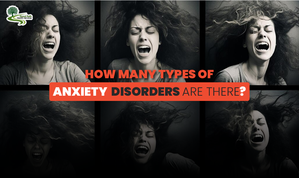 How many types of anxiety disorders are there